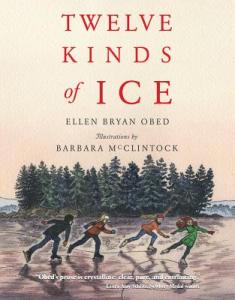 Children's Book: Twelve Kinds of Ice