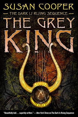 The Grey King- Children's Book