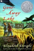 Gone Away Lake Children's book