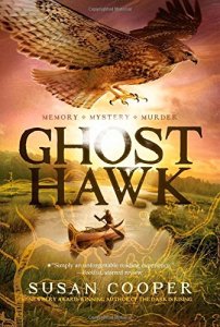 Historical Fiction Children's Book: Ghost Hawk