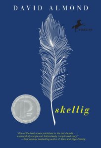 Children's Book - Skellig