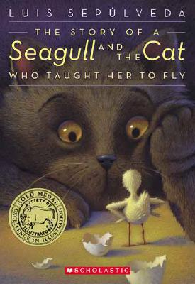 The story of a seagull- children's book