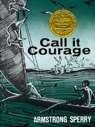 Call it Courage - Children's book